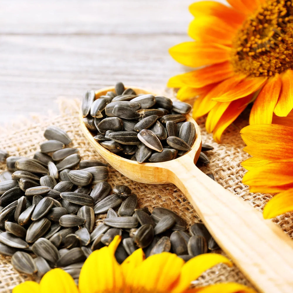 Sunflower Seeds