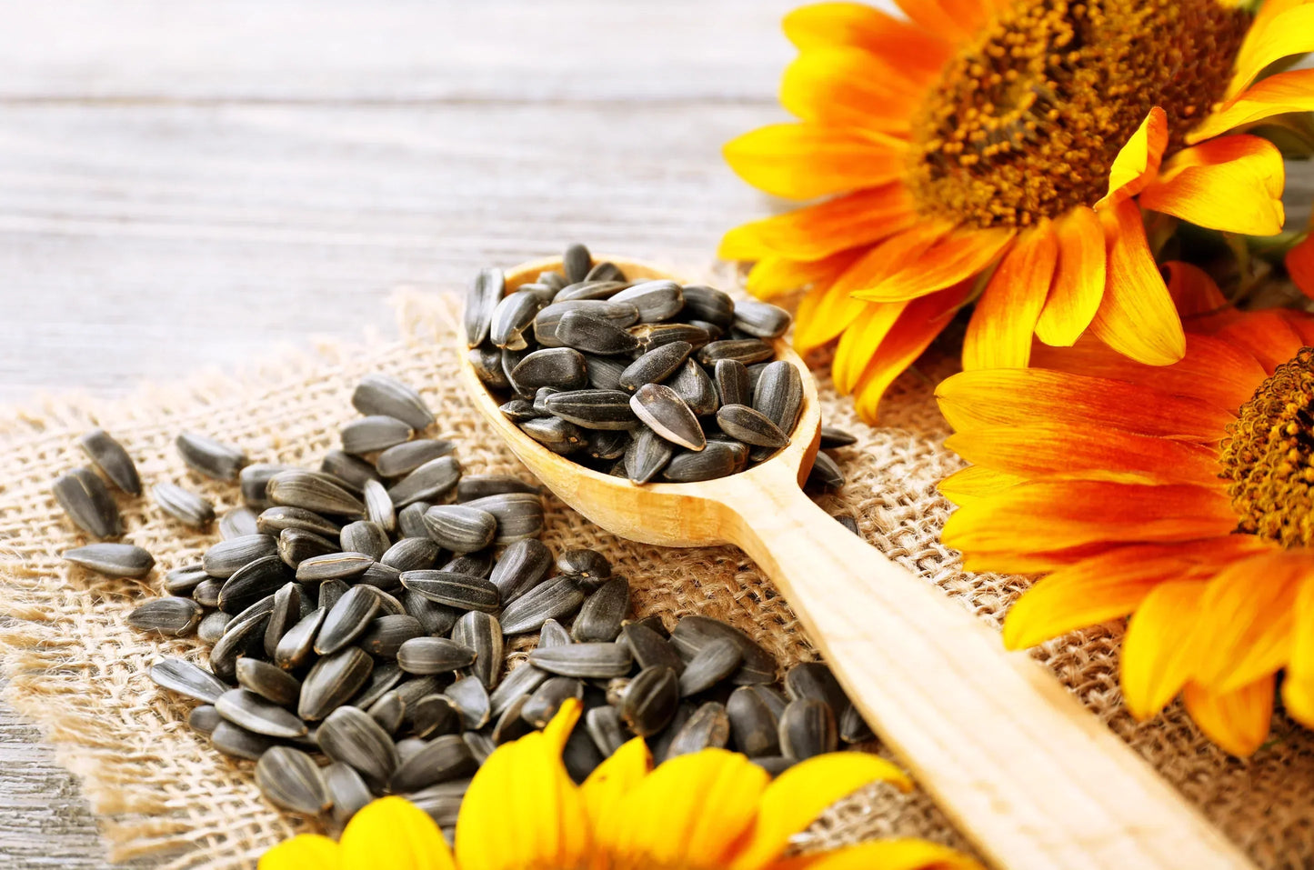 Sunflower Seeds